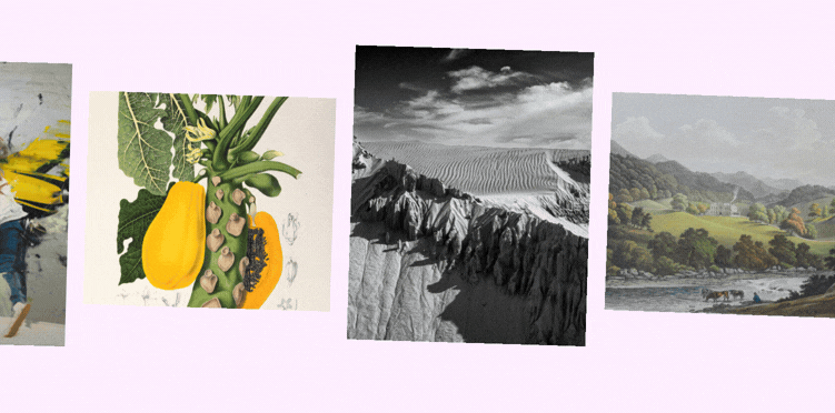 COTM February Banner-1