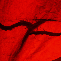 Red lightbox