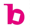 Bridgeman Images logo
